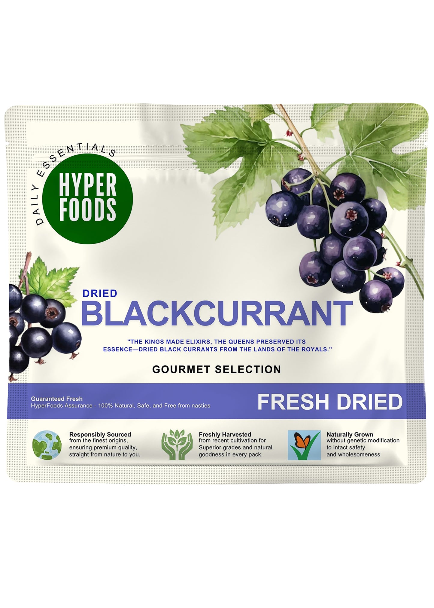 BlackCurrant Resealable Pouch 400gm (200gm x 2 Pack)