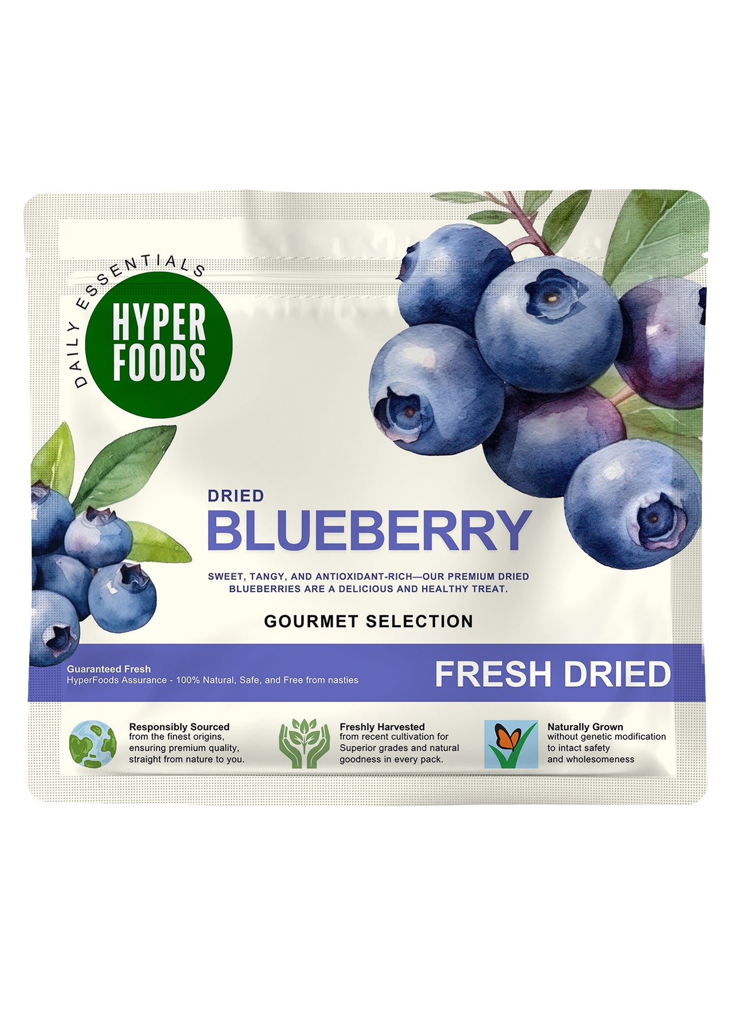 Dried BlueBerry Resealable Pouch 200gm