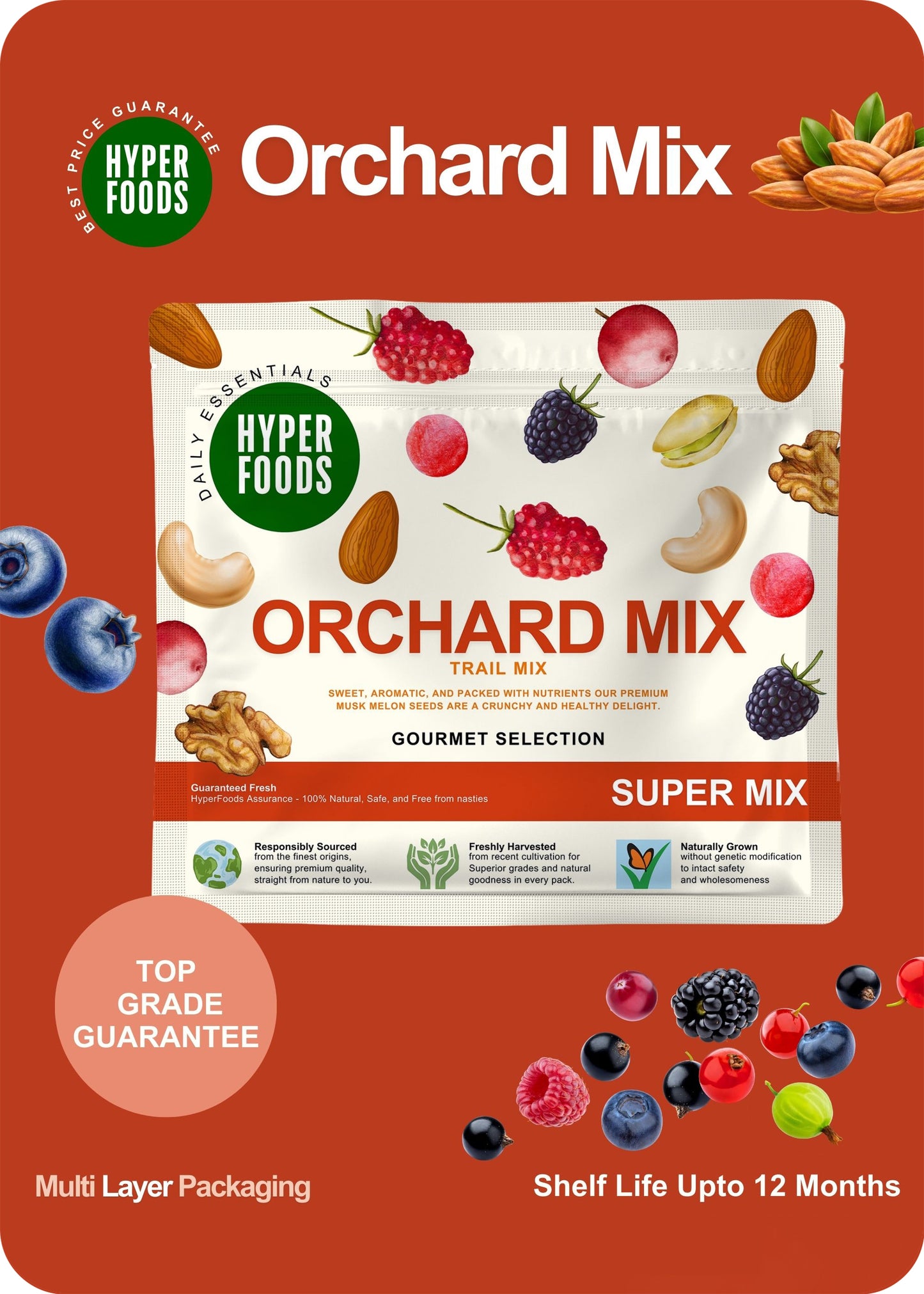 Orchard Mix Trail Mix Resealable Pouch 400 Grams (200gm x 2 Pack)