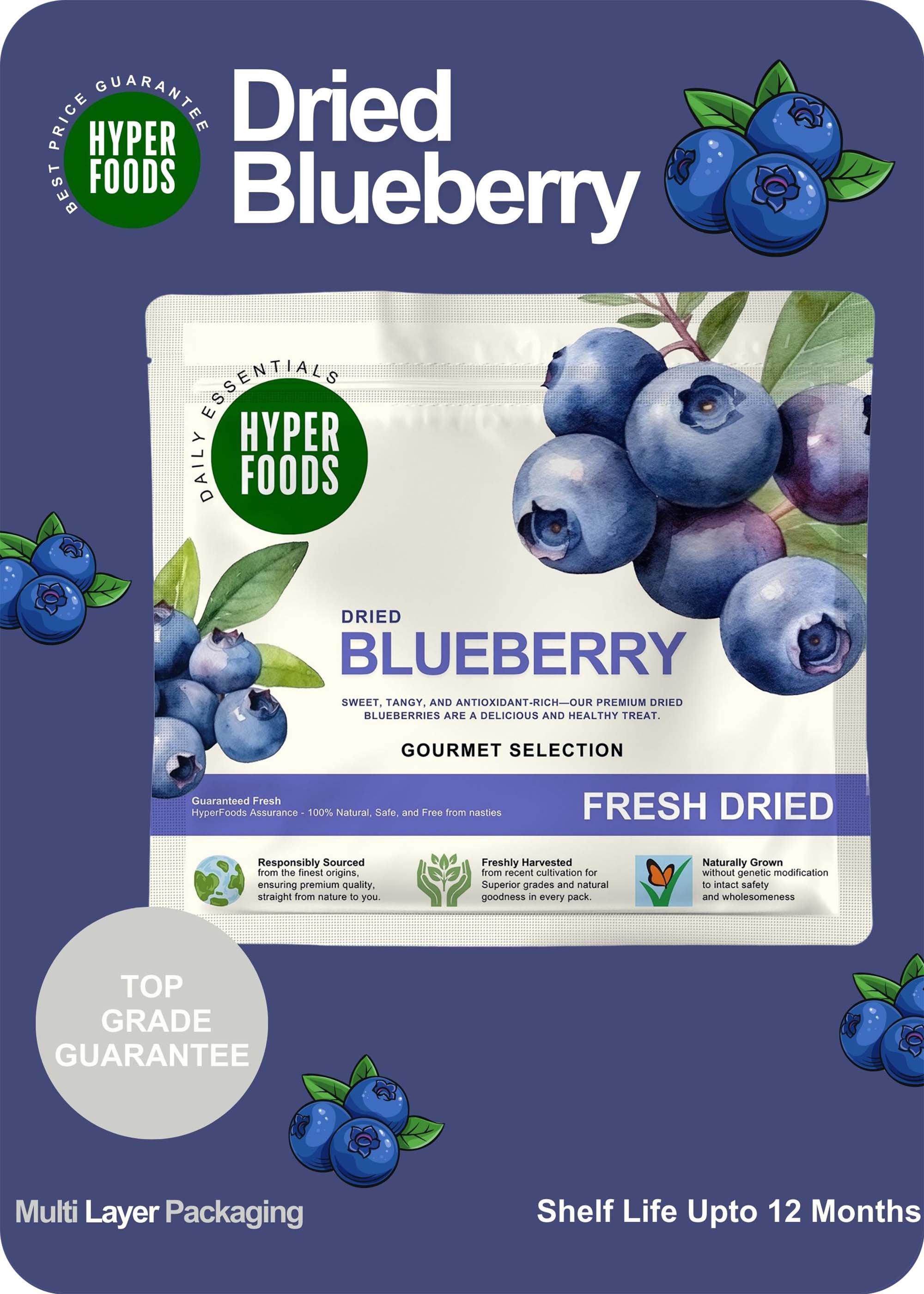 Dried BlueBerry Resealable Pouch 400gm (200gm x 2 Pack)