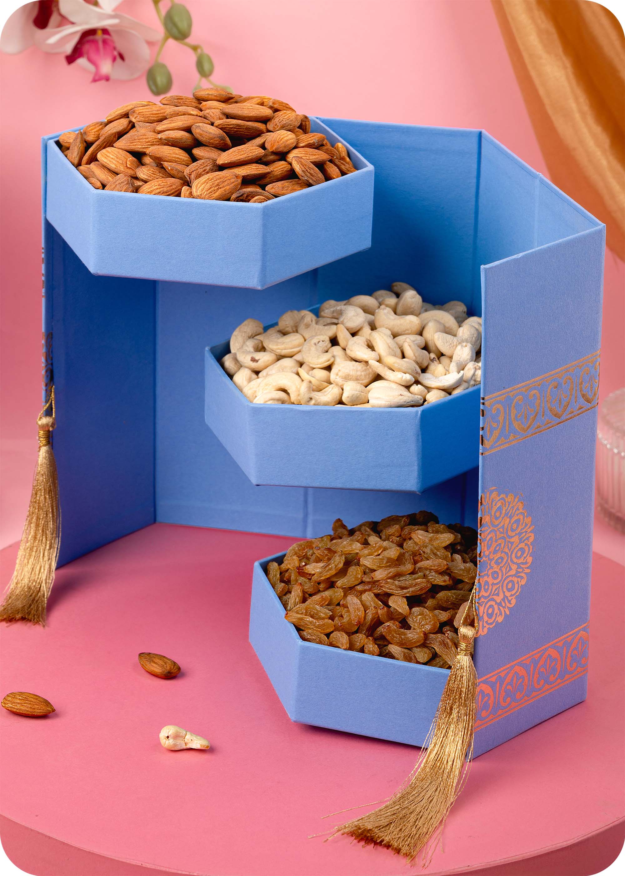 Assorted Nuts & Dry Fruits Gift Hamper